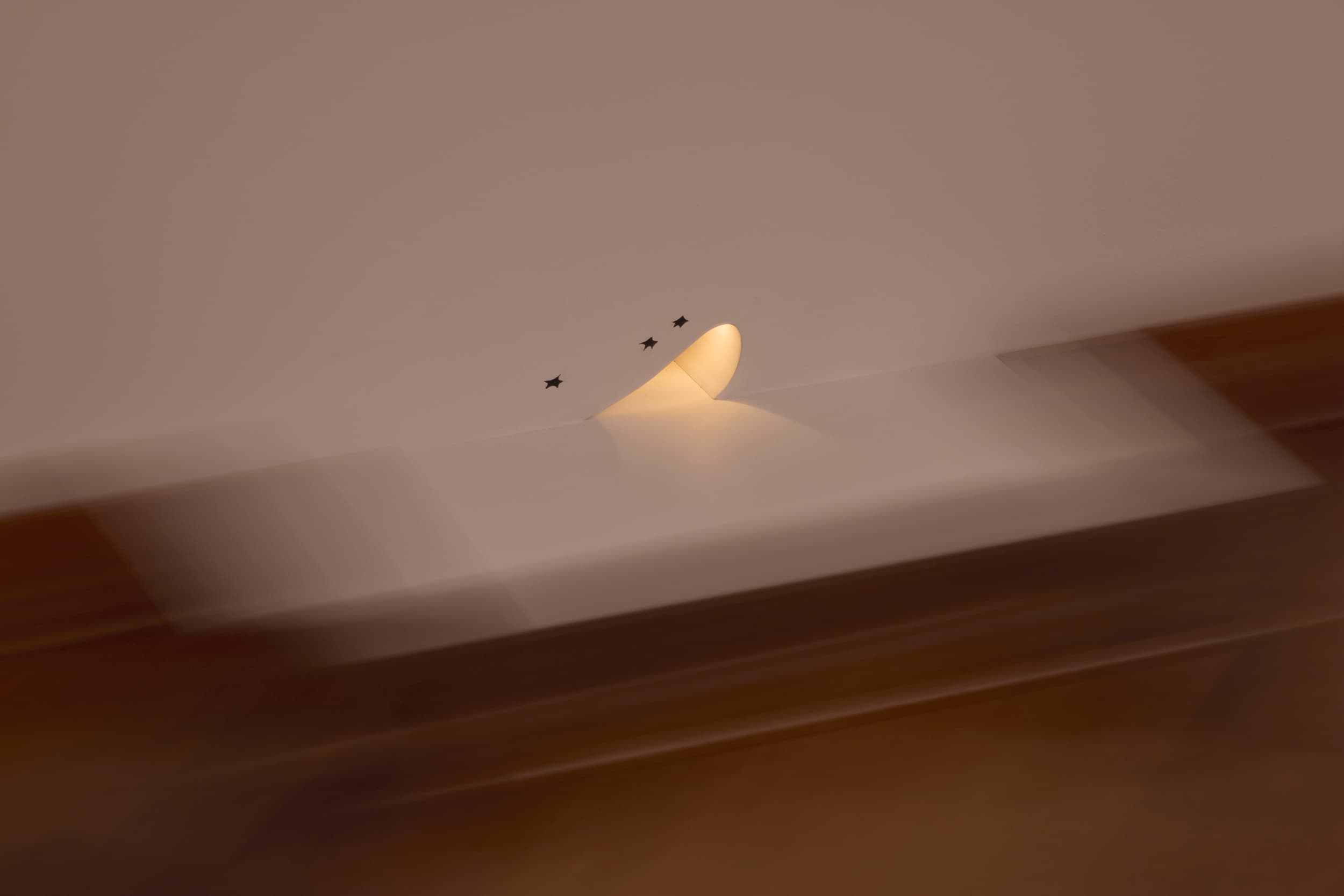 Picture of the author